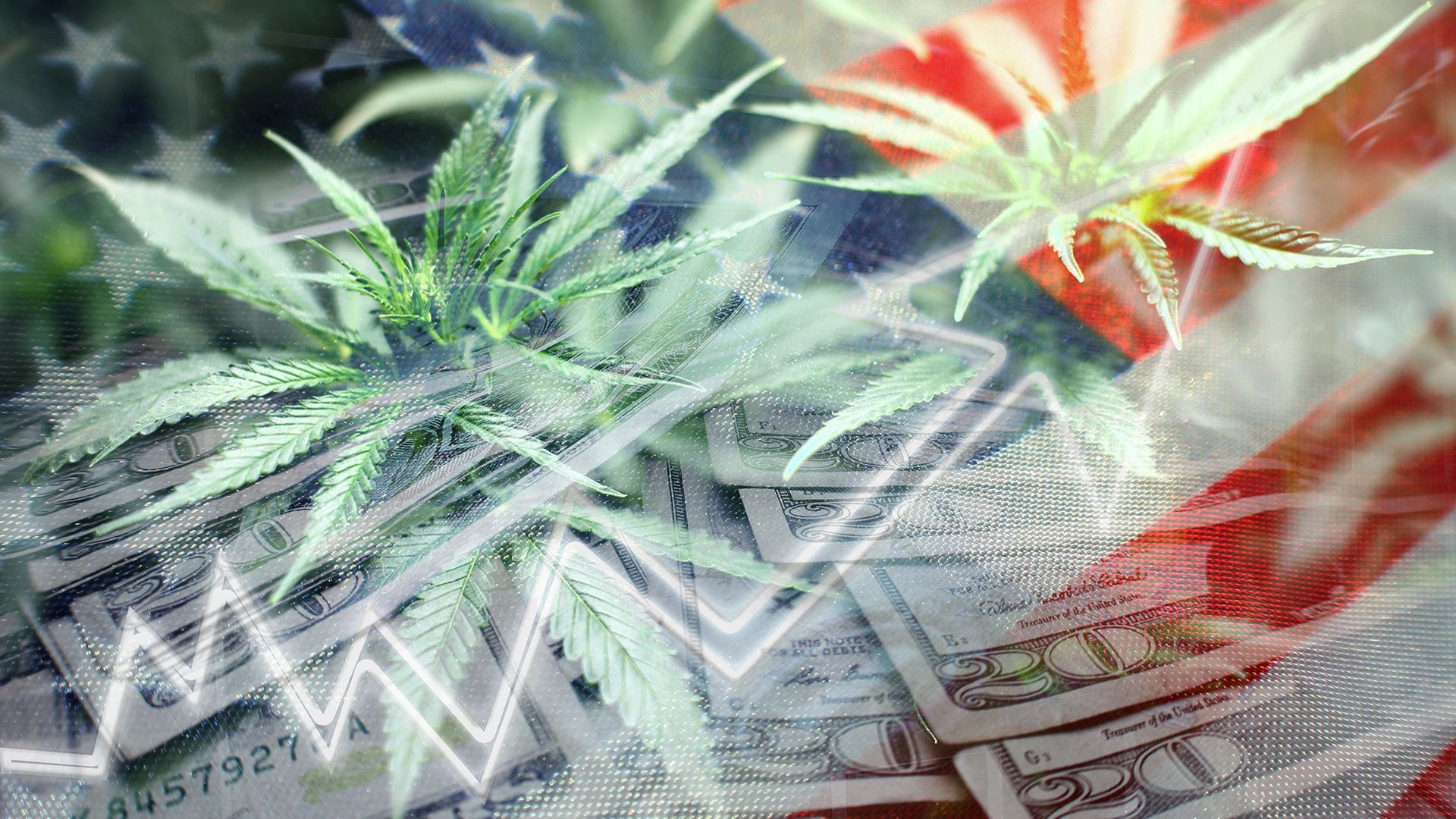 cannabis leaves, cash, and American Flag